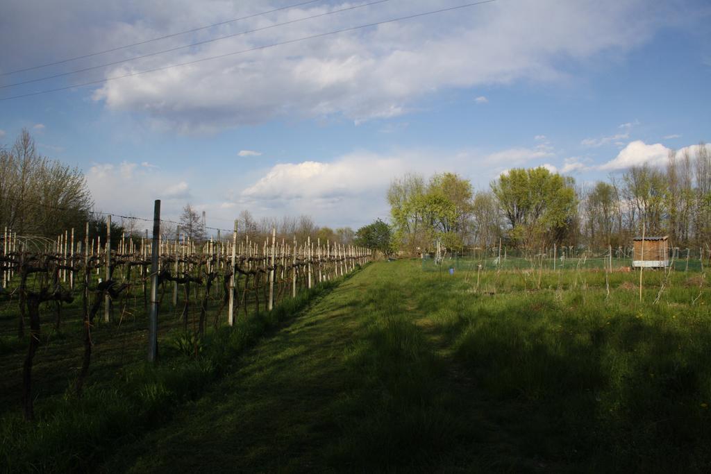Bed and Breakfast I Guardiani Carlino Экстерьер фото